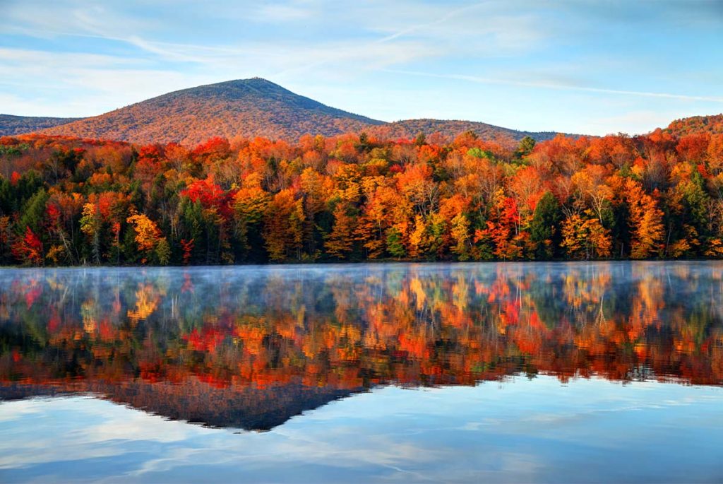 lake during autumn